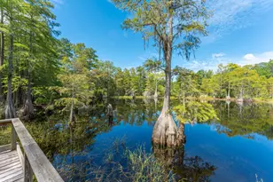 727 Wrights Creek Rd, Caryville, FL 32427 - Photo 42