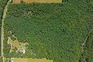 5968 W Co Hwy 147, Laurel Hill, FL 32567 - Photo 96