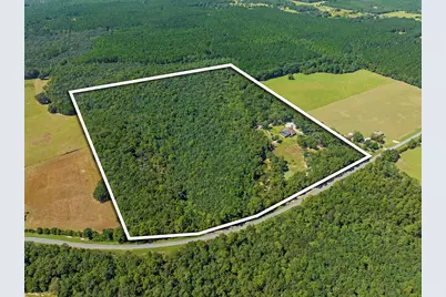 5968 W Co Hwy 147, Laurel Hill, FL 32567 - Photo 94