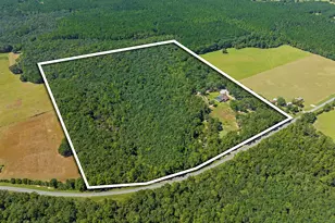 5968 W Co Hwy 147, Laurel Hill, FL 32567 - Photo 94