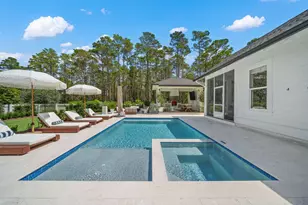 95 E Pollard Cove, Inlet Beach, FL 32461 - Photo 44
