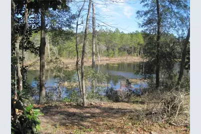 474 Mango, Freeport, FL 32439 - Photo 6