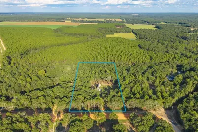 248 Redd Lane, Defuniak Springs, FL 32433 - Photo 4