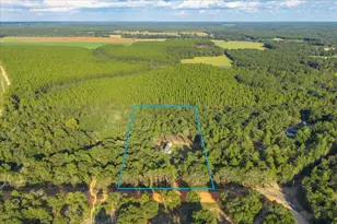 248 Redd Ln, Defuniak Springs, FL 32433 - Photo 4