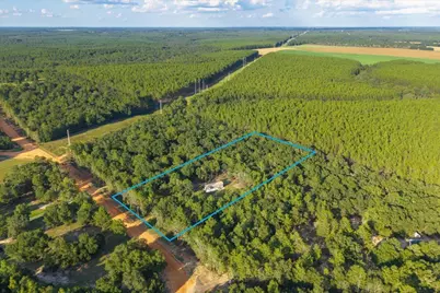 248 Redd Lane, Defuniak Springs, FL 32433 - Photo 6