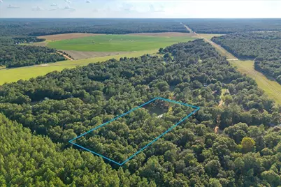 248 Redd Lane, Defuniak Springs, FL 32433 - Photo 10