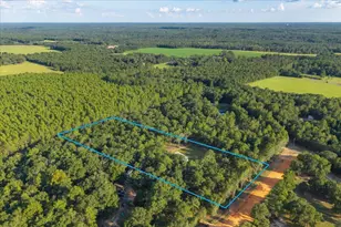 248 Redd Ln, Defuniak Springs, FL 32433 - Photo 12