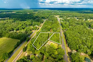 Tbd W Hwy 90, Holt, FL 32564 - Photo 1
