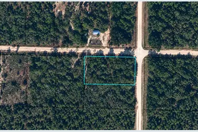 1.14 Acres Lincoln Avenue, Alford, FL 32420 - Photo 2