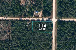 1 14 Acres Lincoln Ave, Alford, FL 32420 - Photo 1