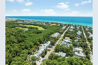 276 Seacrest Drive, Inlet Beach, FL 32461 - Photo 46