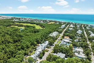 276 Seacrest Dr, Inlet Beach, FL 32461 - Photo 46