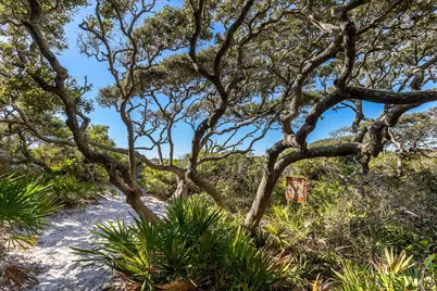 505 Defuniak Street, Santa Rosa Beach, FL 32459 - Photo 42
