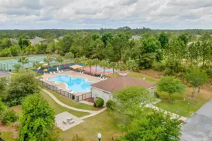 331 Brushed Dunes Circle, Freeport, FL 32439 - Photo 66