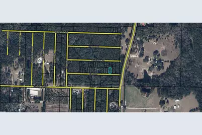 Lots 53/54 Elm Street, Vernon, FL 32462 - Photo 1