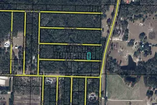 Lots 53/54 Elm St, Vernon, FL 32462 - Photo 1