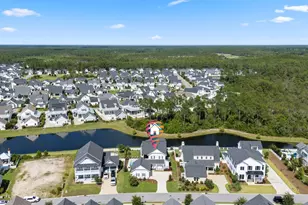 137 Needle Cast Ln, Inlet Beach, FL 32461 - Photo 130