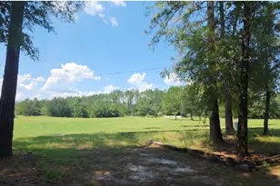 147 Catahoula Rd, Ponce de Leon, FL 32455 - Photo 22