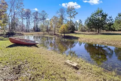 147 Catahoula Road, Ponce de Leon, FL 32455 - Photo 16