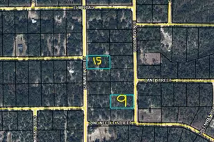 Lot 9 /15 Broom Ave, Marianna, FL 32448 - Photo 1