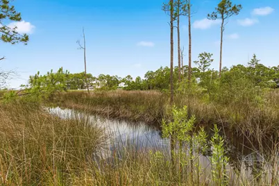 63 Gammage Street, Santa Rosa Beach, FL 32459 - Photo 2