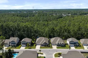 110 Conner Cir, Santa Rosa Beach, FL 32459 - Photo 54