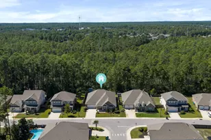 110 Conner Cir, Santa Rosa Beach, FL 32459 - Photo 46