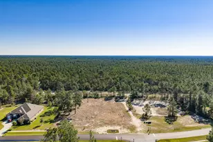 Tbd Brushed Dune Circle, Freeport, FL 32439 - Photo 4