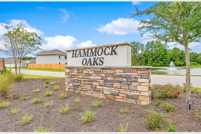 78 Hammock Breeze Drive, Freeport, FL 32439 - Photo 28