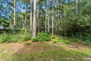 202 Secret St, Freeport, FL 32439 - Photo 42