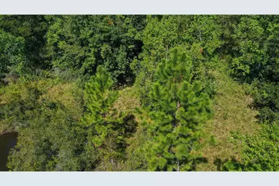 0000 Windy Lewis Road, Bonifay, FL 32425 - Photo 16
