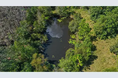 0000 Windy Lewis Road, Bonifay, FL 32425 - Photo 14