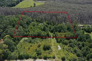 0000 Windy Lewis Rd, Bonifay, FL 32425 - Photo 1