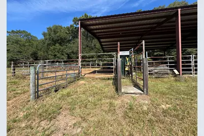 2692 Oak Grove Church Road, Ponce de Leon, FL 32455 - Photo 10