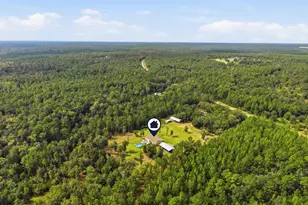 6019 Old River Rd, Baker, FL 32531 - Photo 92
