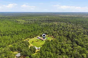 6019 Old River Rd, Baker, FL 32531 - Photo 96