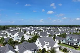 240 Log Landing St, Inlet Beach, FL 32461 - Photo 64