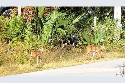 Lot 21 Crescent Road #Block C, Santa Rosa Beach, FL 32459 - Photo 12