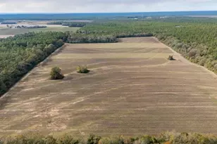 0000 N Bob Brooks Rd, Baker, FL 32531 - Photo 1