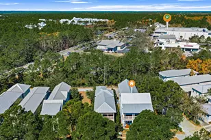 231 Wisteria Way, Santa Rosa Beach, FL 32459 - Photo 76