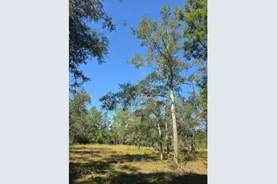 3091 Kings Lake, Defuniak Springs, FL 32433 - Photo 2