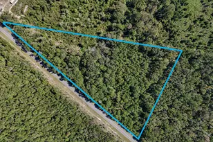 2 34 Ac C J Laird Rd, Ponce de Leon, FL 32455 - Photo 1
