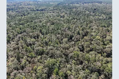 2.34 Ac C J Laird Road, Ponce de Leon, FL 32455 - Photo 6