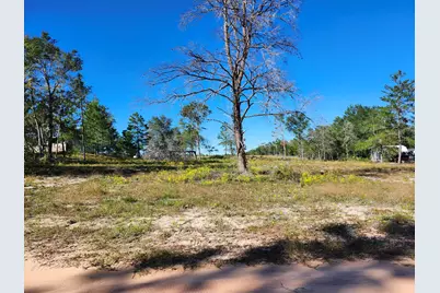 Lot 23 W Bach Drive, Defuniak Springs, FL 32433 - Photo 2