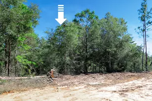 Lot 9 Leonardo Ct, Defuniak Springs, FL 32433 - Photo 1