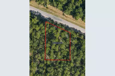 Lots 1-4 N Williams Road, Defuniak Springs, FL 32433 - Photo 2