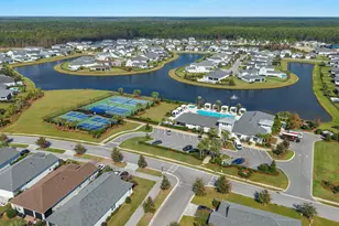 198 Ravine Rd, Inlet Beach, FL 32461 - Photo 56