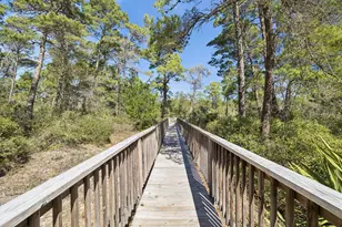 95 W Willow Mist Rd, Inlet Beach, FL 32461 - Photo 34