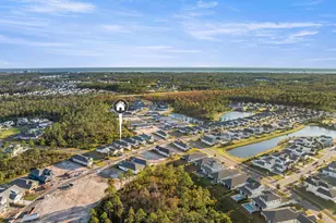 401 Anastasia Cir, Inlet Beach, FL 32461 - Photo 38