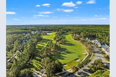 401 Anastasia Circle, Inlet Beach, FL 32461 - Photo 52